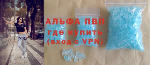 шишки Кодинск