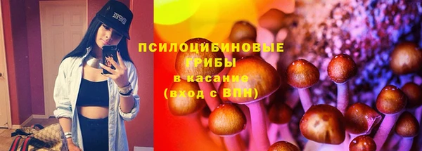 шишки Кодинск