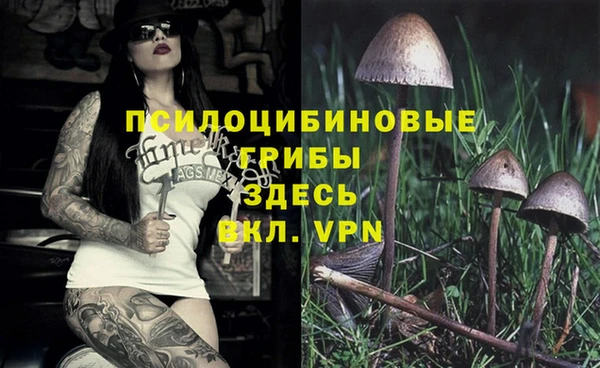винт Козельск