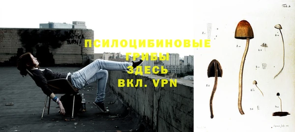 шишки Кодинск