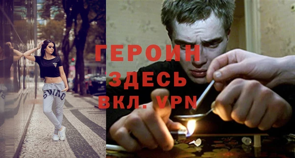 шишки Кодинск