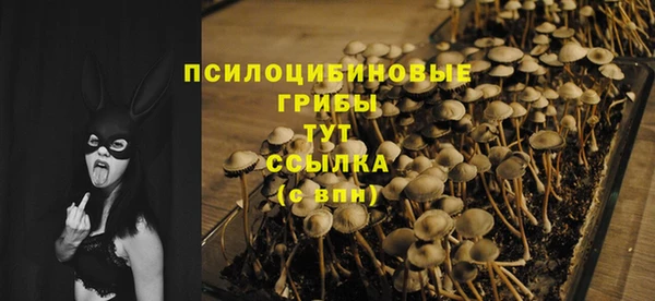 mdpv Козловка