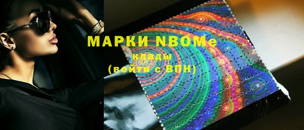 шишки Кодинск