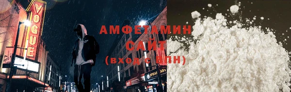 шишки Кодинск