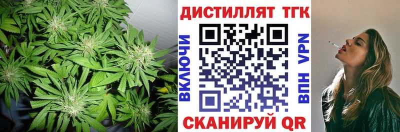 Дистиллят ТГК жижа  Купить где  Гороховец 