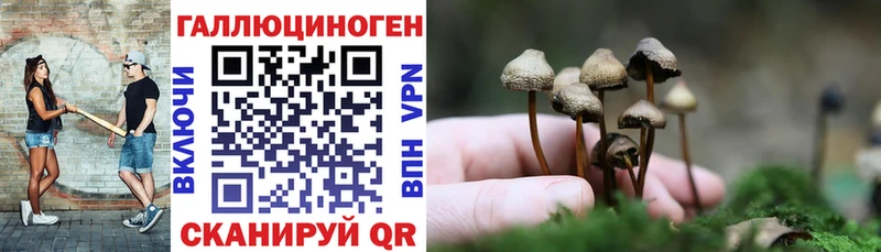 Купить  Гороховец  Псилоцибиновые грибы мухоморы 